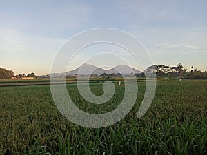 Merapi and Merbabu Mountain