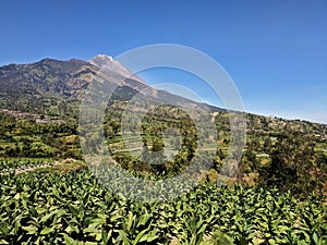 Merapi mountain view in Boyolali, Central Java, Indonesia