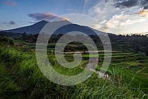 Merapi Mountain Volcano Mountain with Rice fields