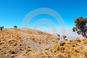 Merbabu Mountain has a two beautiful savanna, Central Java