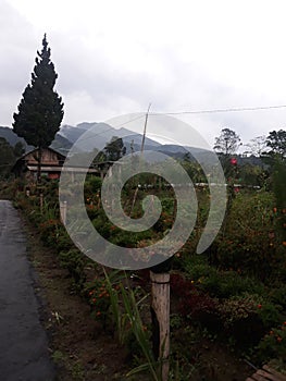 Merbabu Mountain view from Boyolali, Central Java, Indonesia