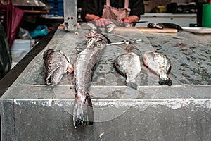 Mercado do Bolhao Porto