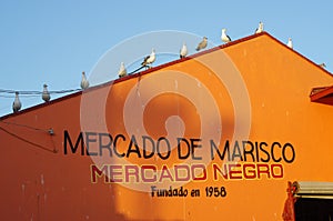 Mercado Negro in Ensenada, Mexico