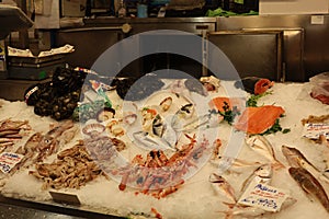 Mercado Orientale Genova fish for sale