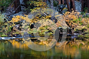 Merced River in Autumn photo