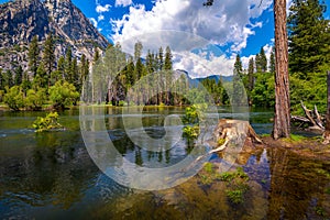 Merced River flowing through Yosemite National Park in California, USA