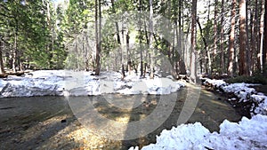 Merced river with snow and forest at Yosemite National Park