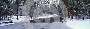 The Merced River In Winter, Yosemite National Park, California