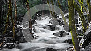 Merced River Yosemite NP