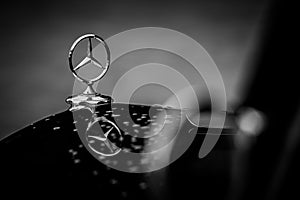 Mercedes Benz Logo - classic car model