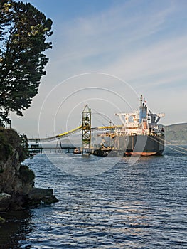 Merchant ship chipped your deposit. Forest industry, in the town of Corral, Valdivia River photo