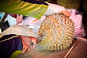 cutting durian