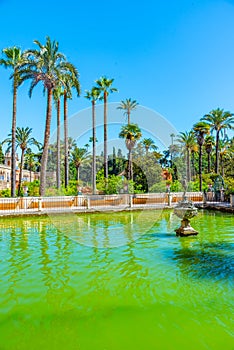 Mercury fountain at the real alcazar de Sevilla in Spain photo