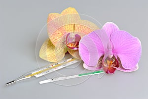 Mercurio termómetro ovulación dos orquídea flores sobre el gris 