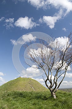 Mere Castle hill from Long Hill