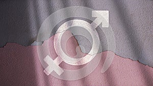 Merged Male and Female Symbols photo