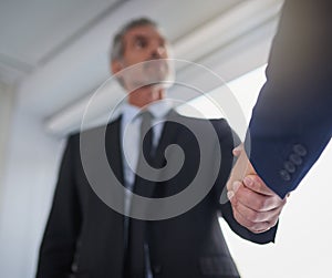 Merging to make it happen. two businessmen shaking hands in a modern office.