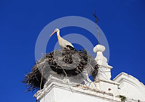 Merida, Extremadura, Spain. Stork nesting. photo