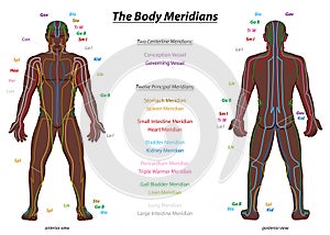 Meridian System Black Man Description Chart Male Body