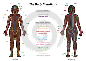 Meridian System Black Woman Description Chart Female Body photo