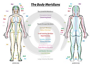 Meridian System Description Chart Female Body