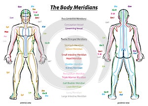 Meridian System Description Chart Male Body