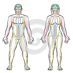 Poludník systém samec žena telo farebný meridiány 