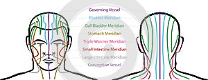 Meridians Male Head Acupuncture Points