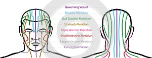 Meridians Male Head Acupuncture Points photo