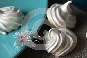 Meringue bakery with white flower