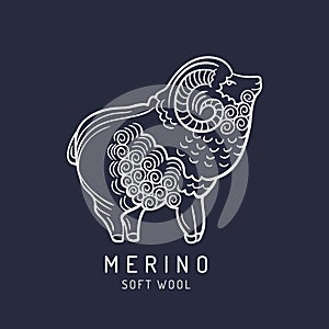 Merino sheep logo, label. Vector ram illustration. Ewe soft wool sign. Fleece icon background.
