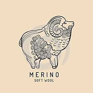 Merino sheep logo, label. Vector ram illustration. Ewe soft wool sign. Fleece icon background.