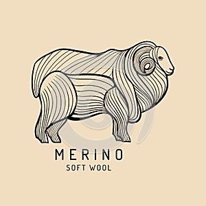 Merino sheep logo, label. Vector ram illustration. Ewe soft wool sign. Fleece icon background.