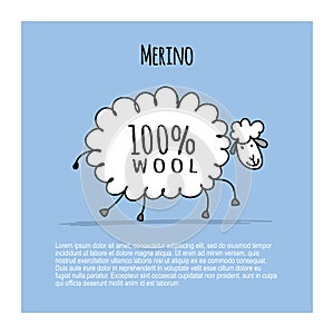 Merino sheep, sketch for your design