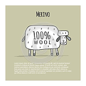 Merino sheep, sketch for your design