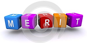 Merit word block on white