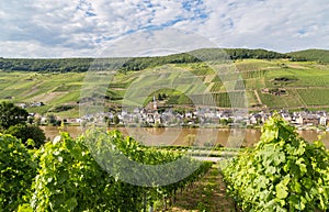 Merl on the Mosel Germany