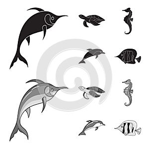 Merlin, turtle and other species.Sea animals set collection icons in black,monochrome style vector symbol stock