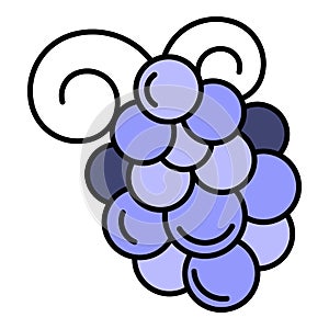 Merlot grape icon color outline vector