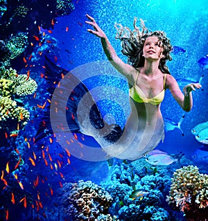 Mermaid dive underwater through coral