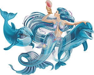 Mermaid and dolphins on a white background.