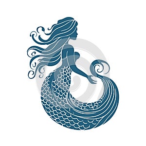 mermaid fairy illustration for your design