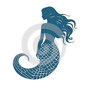 mermaid fairy illustration for your design: bags, posters, logo