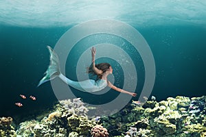 Underwater Mermaid Swimming Among Ocean Coral Reef photo