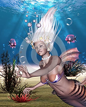 Mermaid - The most beautiful of all sea