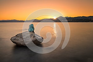 Mermaid sculpture on rock in Ile Rousse Corsica at sunrise