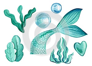 Mermaid tail, bubbles, algae on an isolated white background. Watercolor drawing