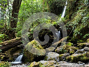 Merriman Falls in Lake Quinault valley on Olympic peninsula