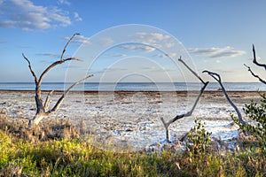 Merritt Island Wildlife Refuge photo