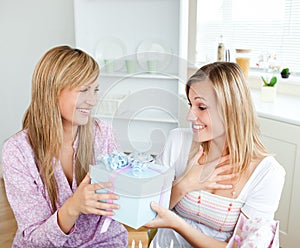 Merry caucasian woman giving her friend a present